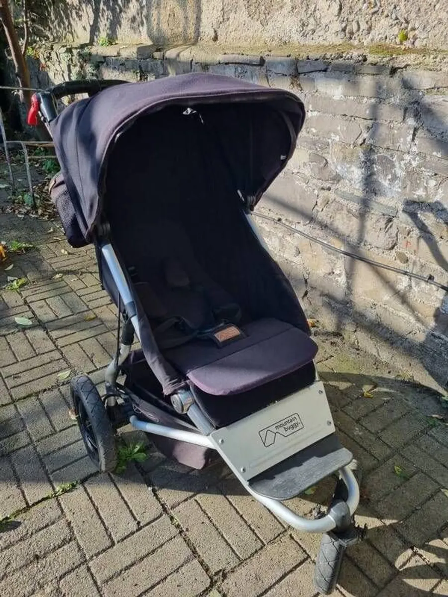 Buggy - Image 1