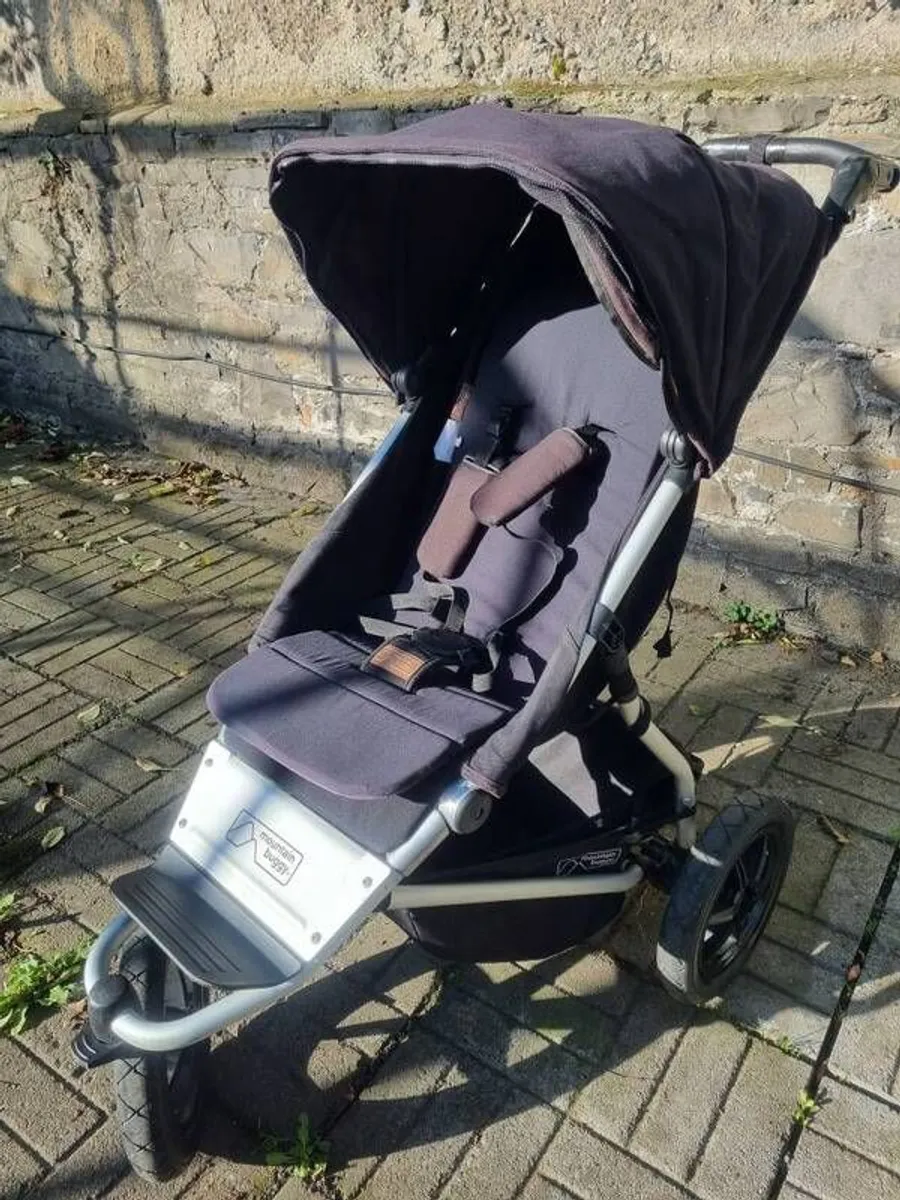 Buggy - Image 2