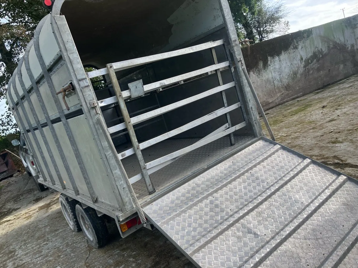 Cattle trailer - Image 4