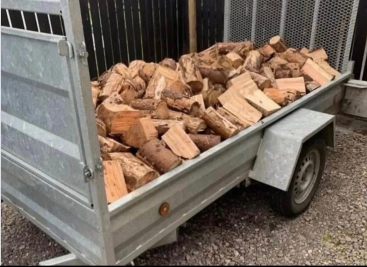 Timber Firewood - Image 1