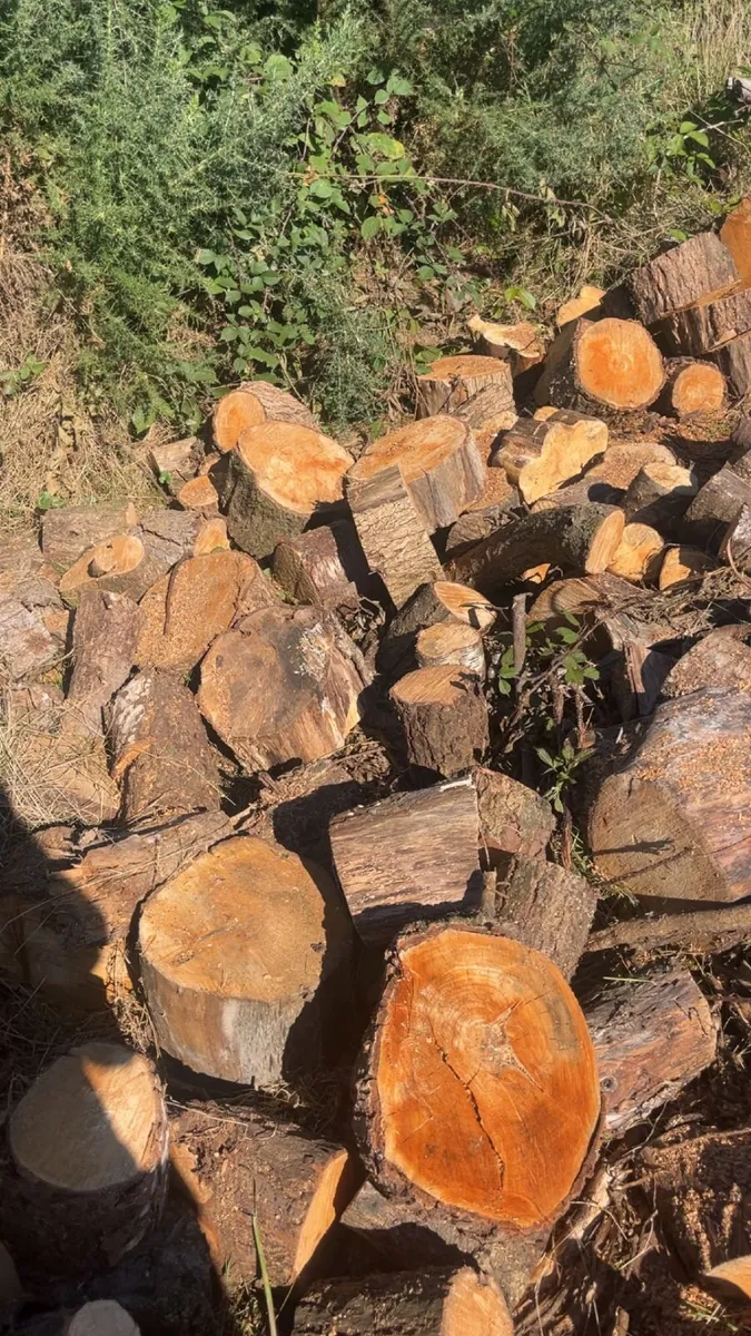 Timber - Image 1