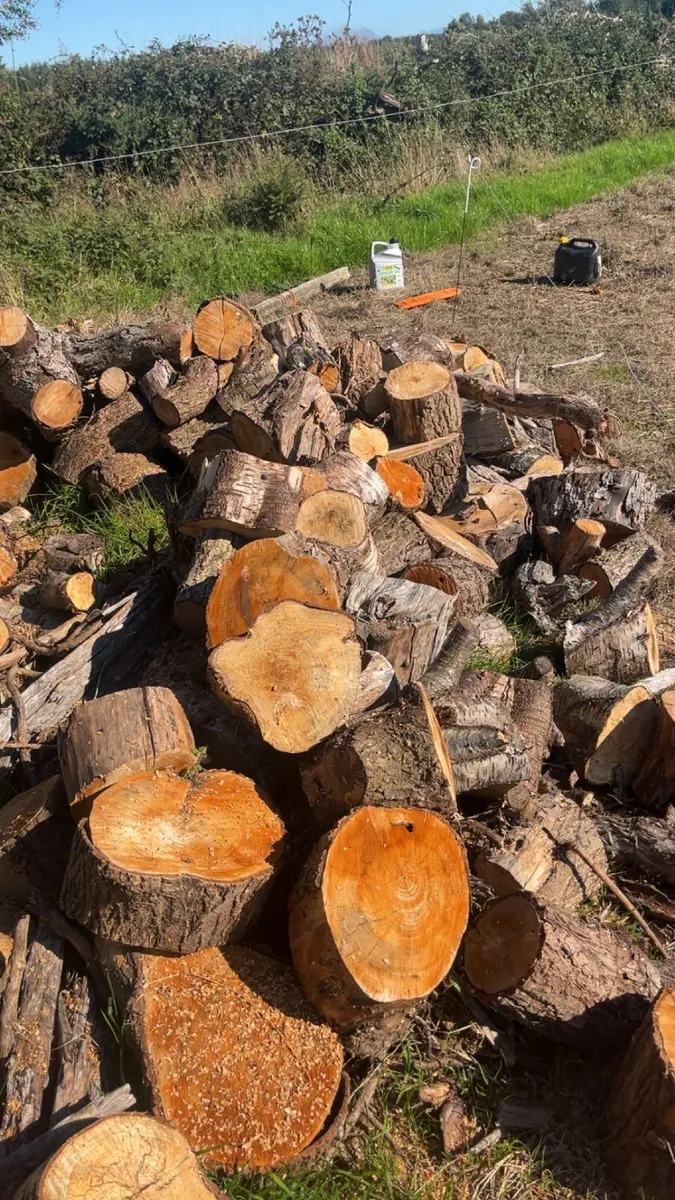 Timber - Image 2