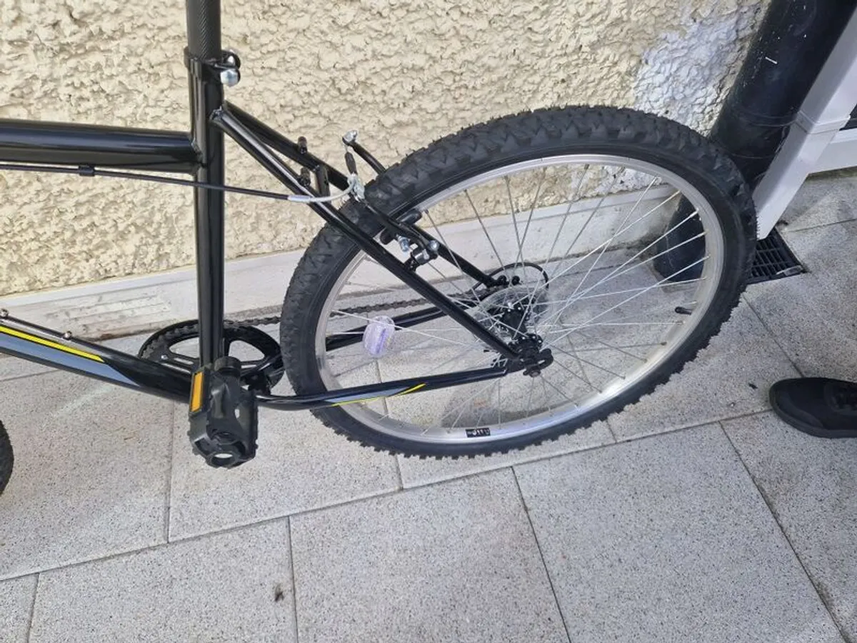 Lndi Mens Bicycle - Image 2