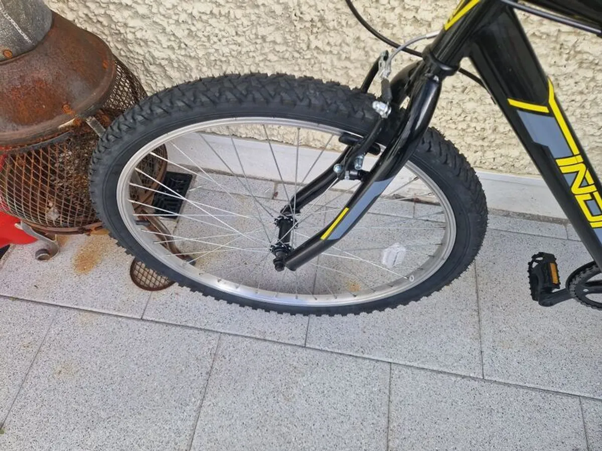 Lndi Mens Bicycle - Image 4