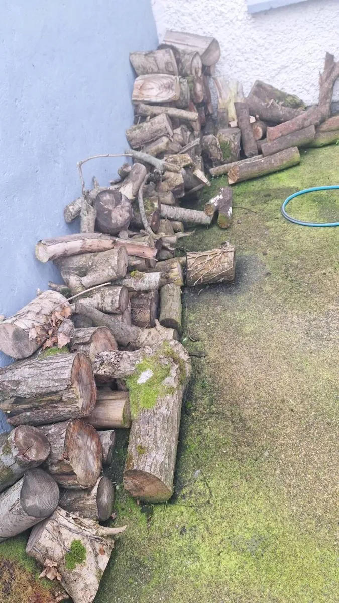 Logs