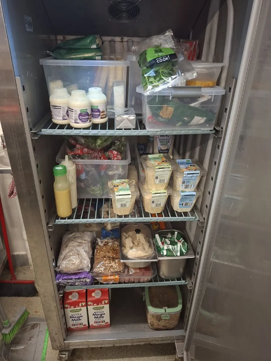Reycold fridge working good, assets - Image 4