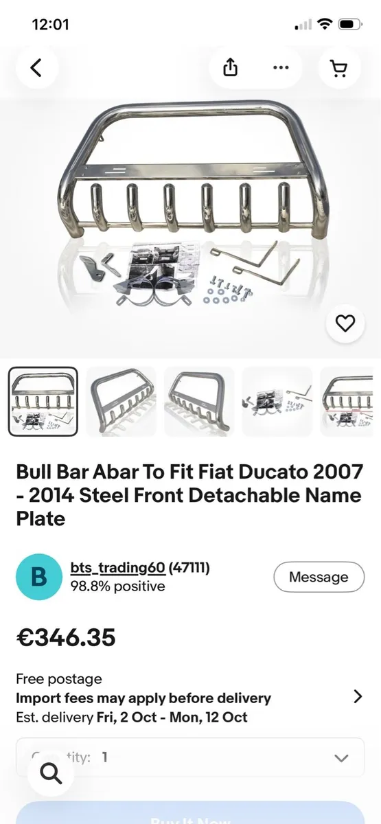 Fiat Ducato nudgebar - Image 1