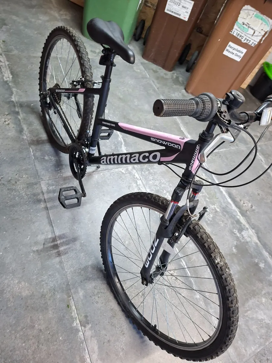 Ladies /Girls Mountain Bike - Image 1