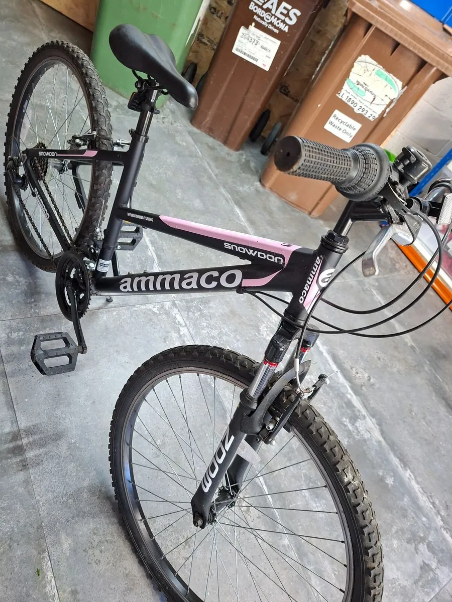 Ladies /Girls Mountain Bike - Image 2