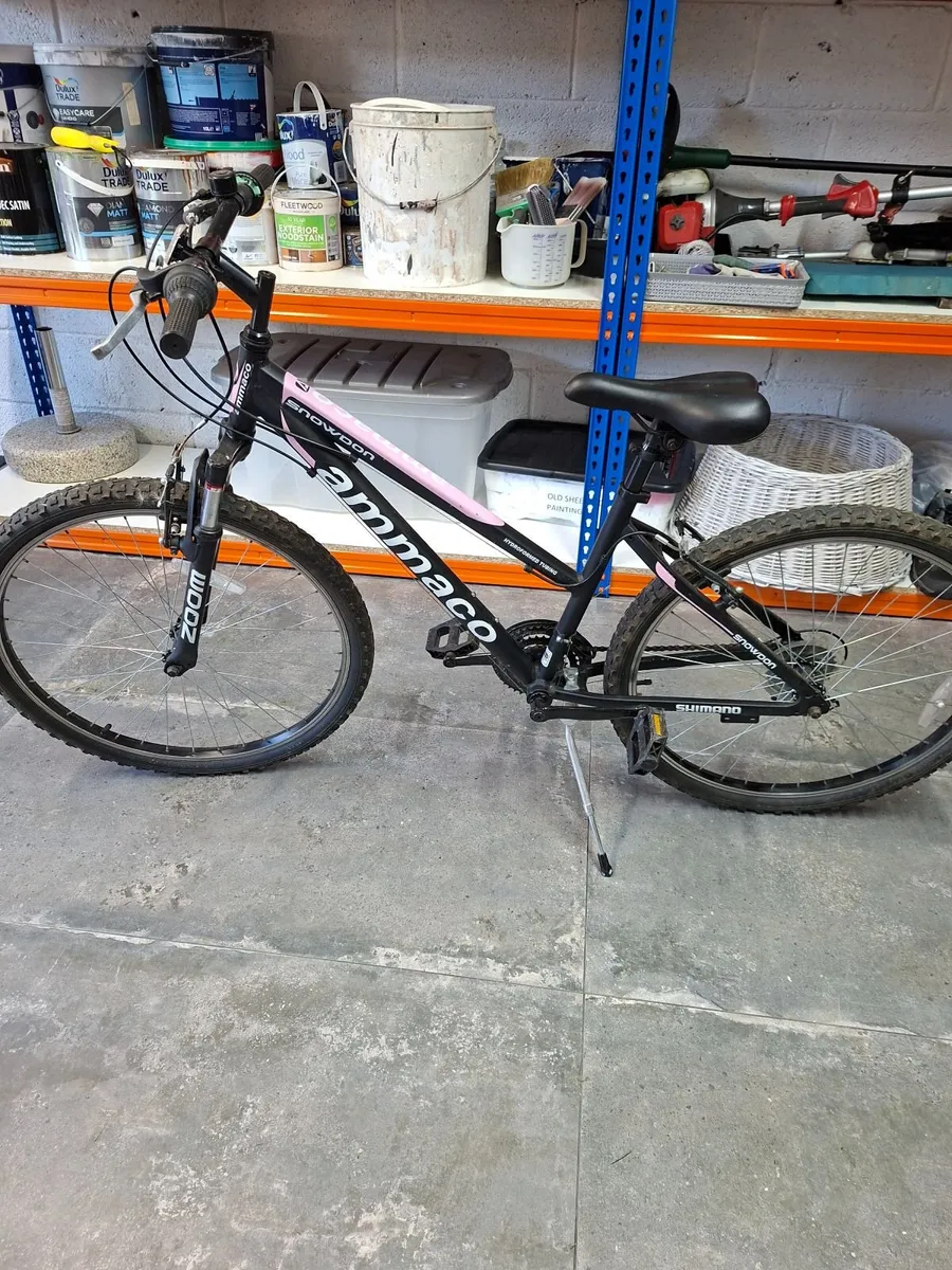 Ladies /Girls Mountain Bike - Image 4