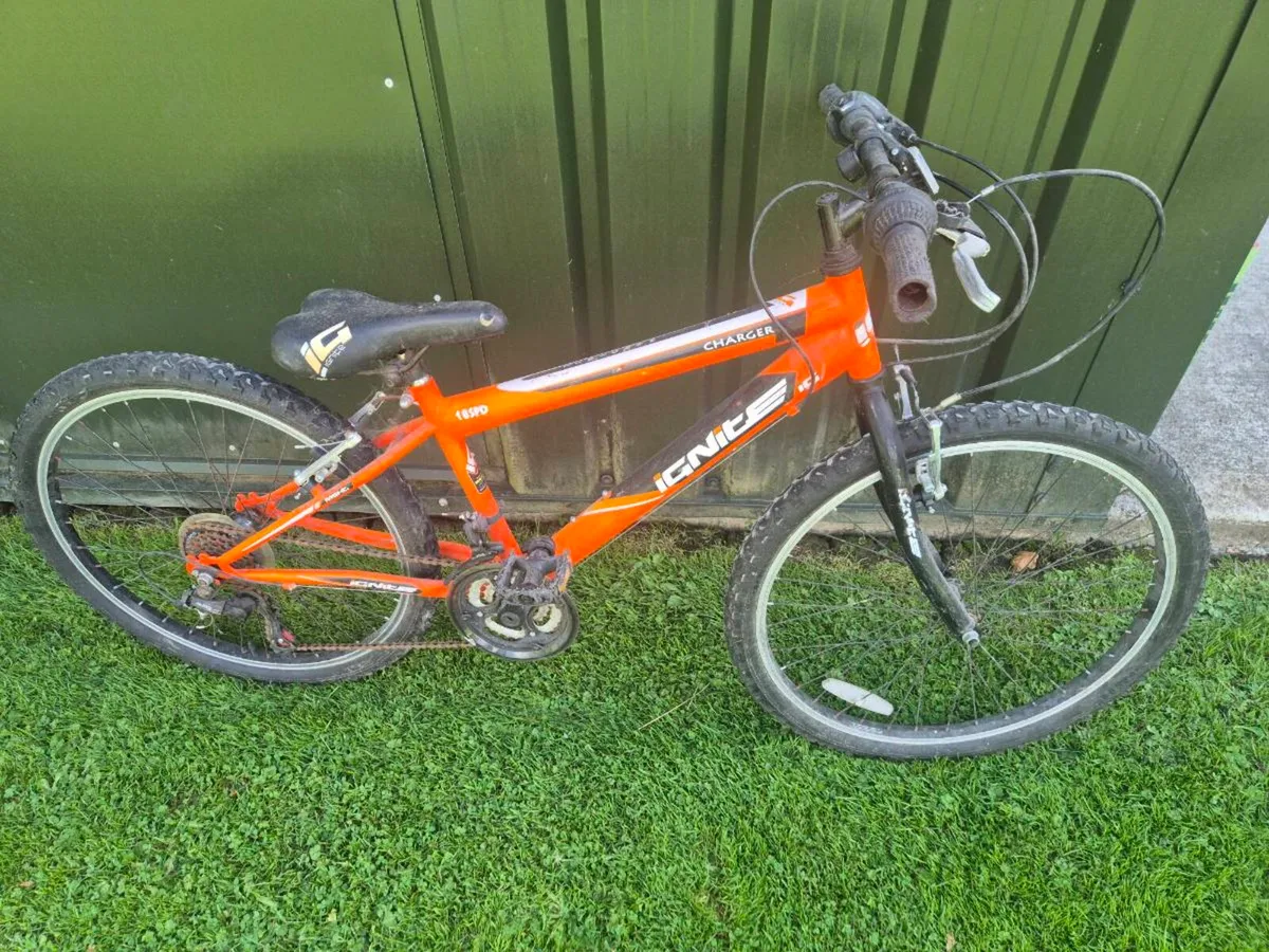 Two Bikes 20" Girls & 24" Boys - Image 2