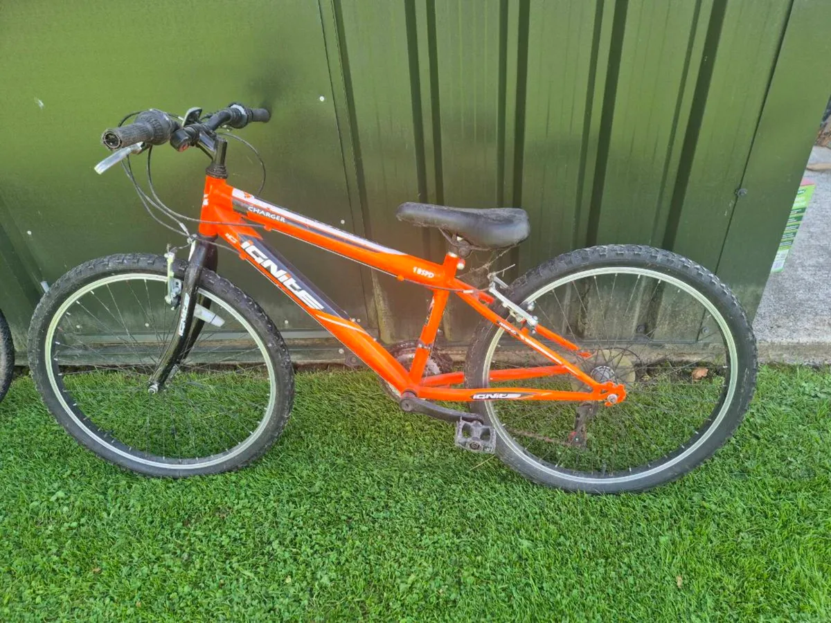 Two Bikes 20" Girls & 24" Boys - Image 3