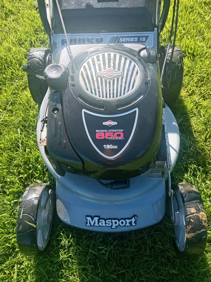 Lawnmowers - Image 1
