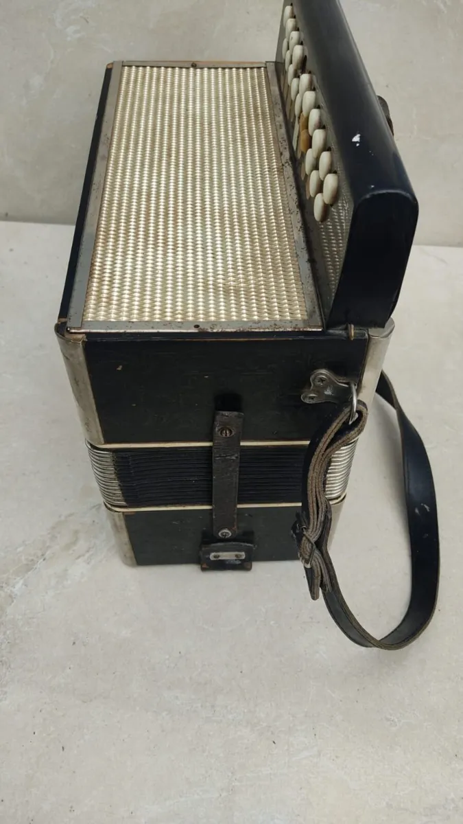 Accordion - Image 4