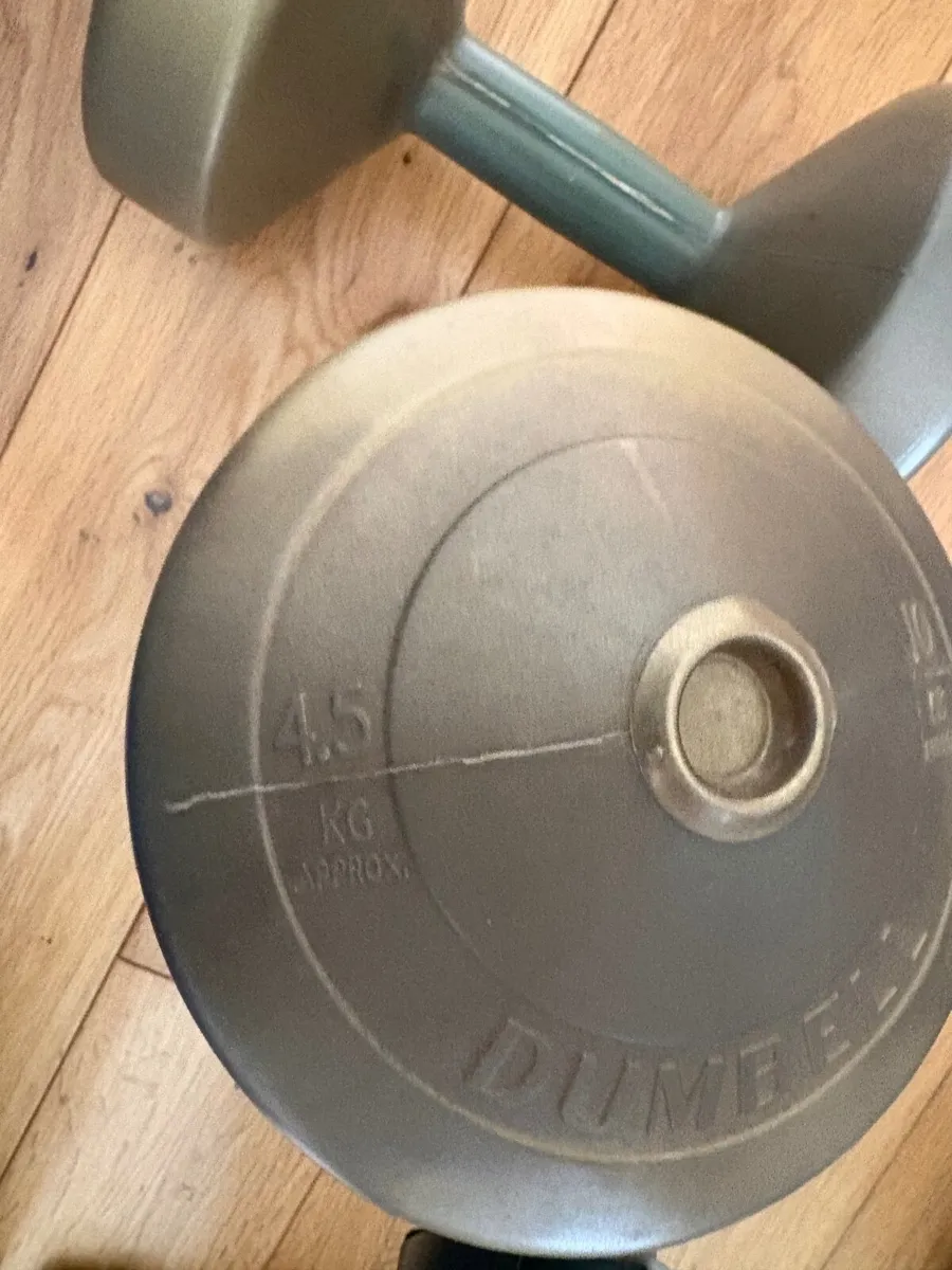 Dumbell and sandbag - Image 1