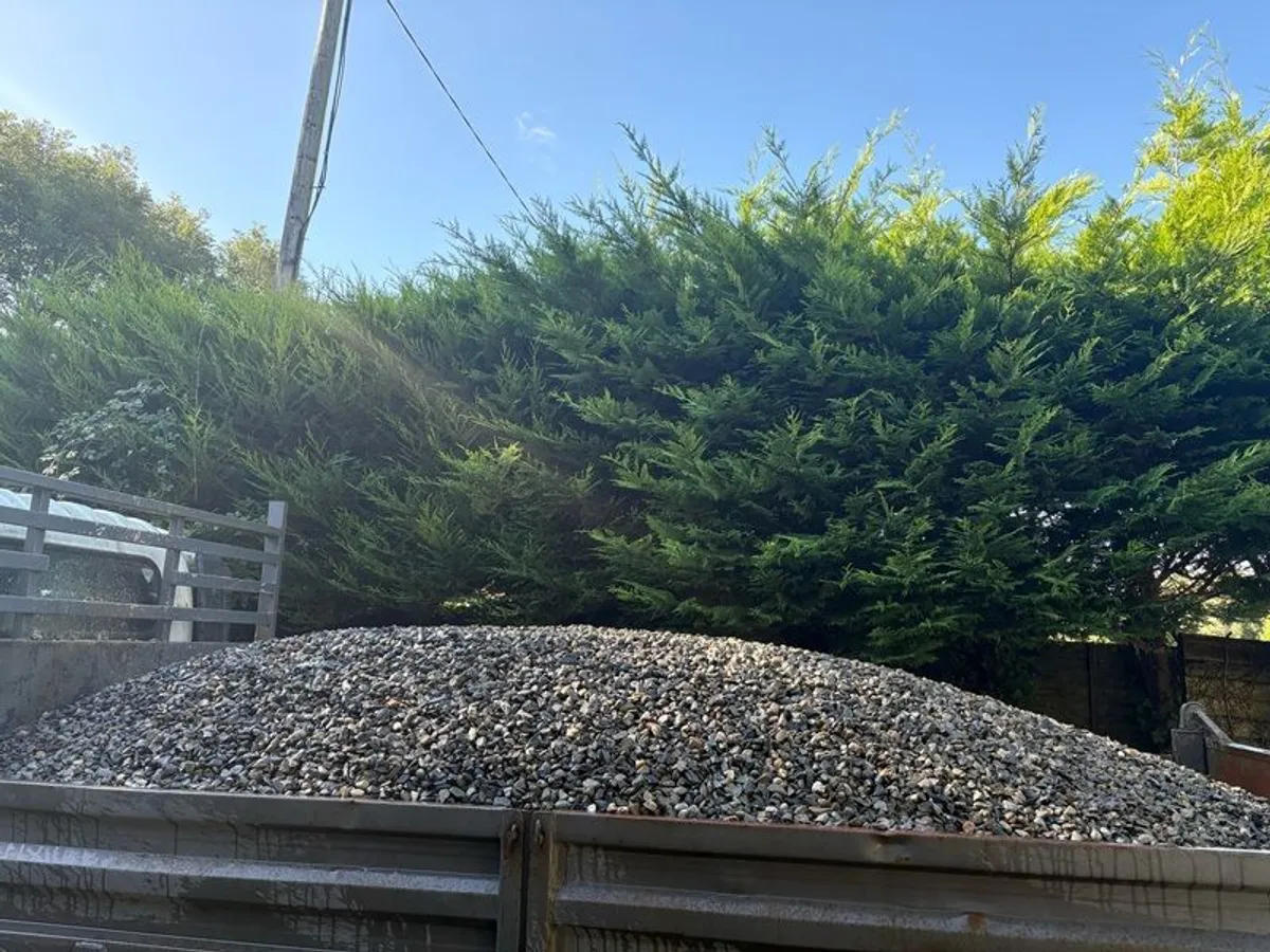 Load Of 20mm Washed Pebble - Image 3