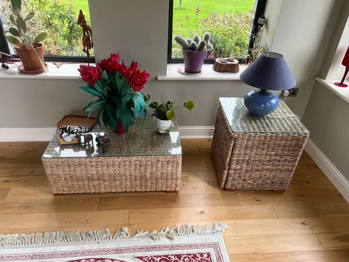 Rattan sofa set conservatory indoor - Image 3