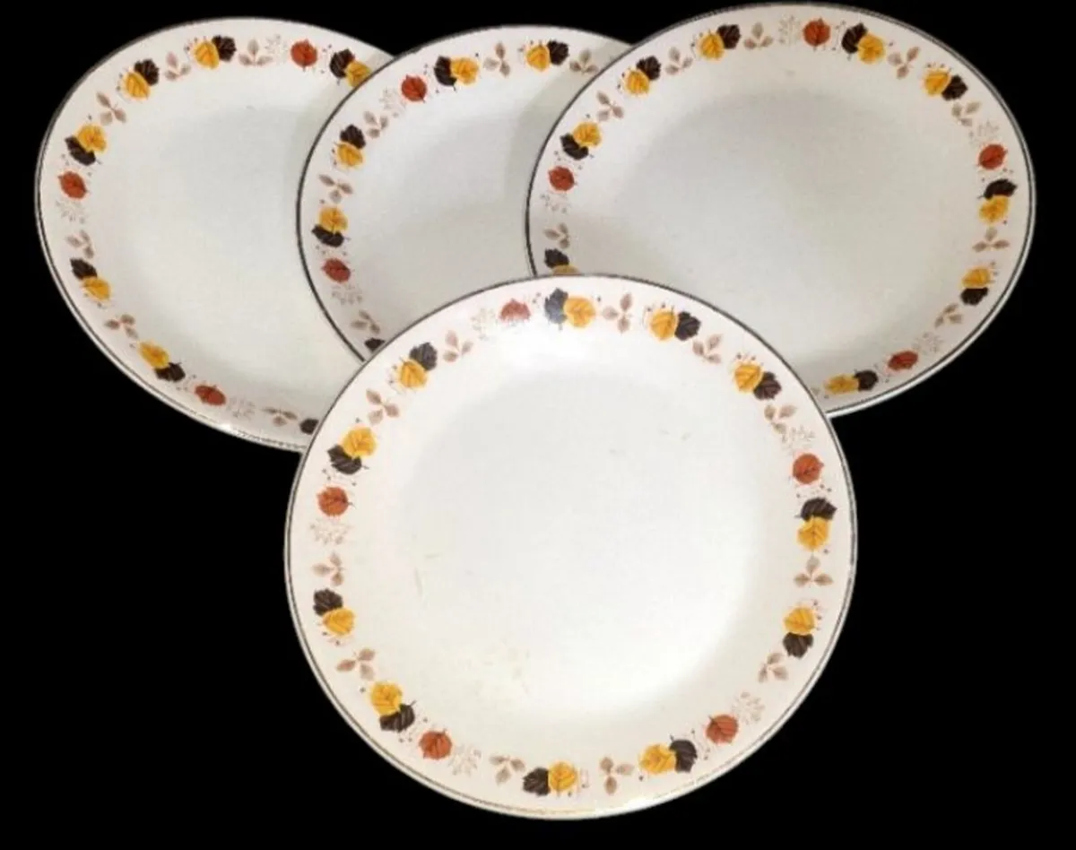 Vintage Arklow Pottery"Autumn Leaves"Plates Small - Image 4