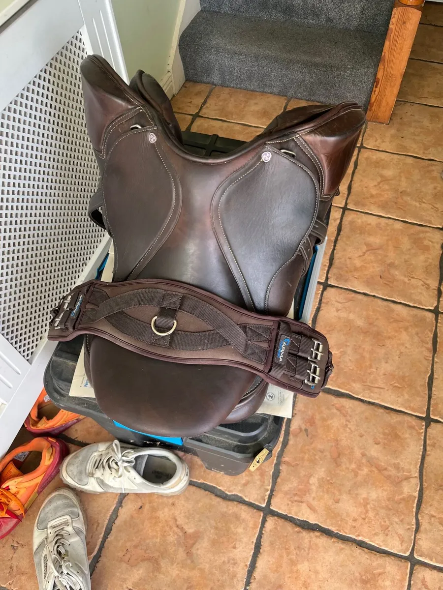 Horse saddle cavaletti collection, girt, stirrups - Image 4