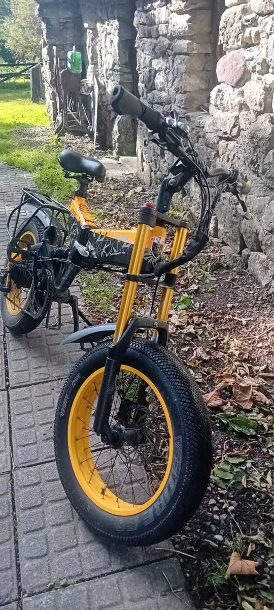 Electric bicke - Image 4