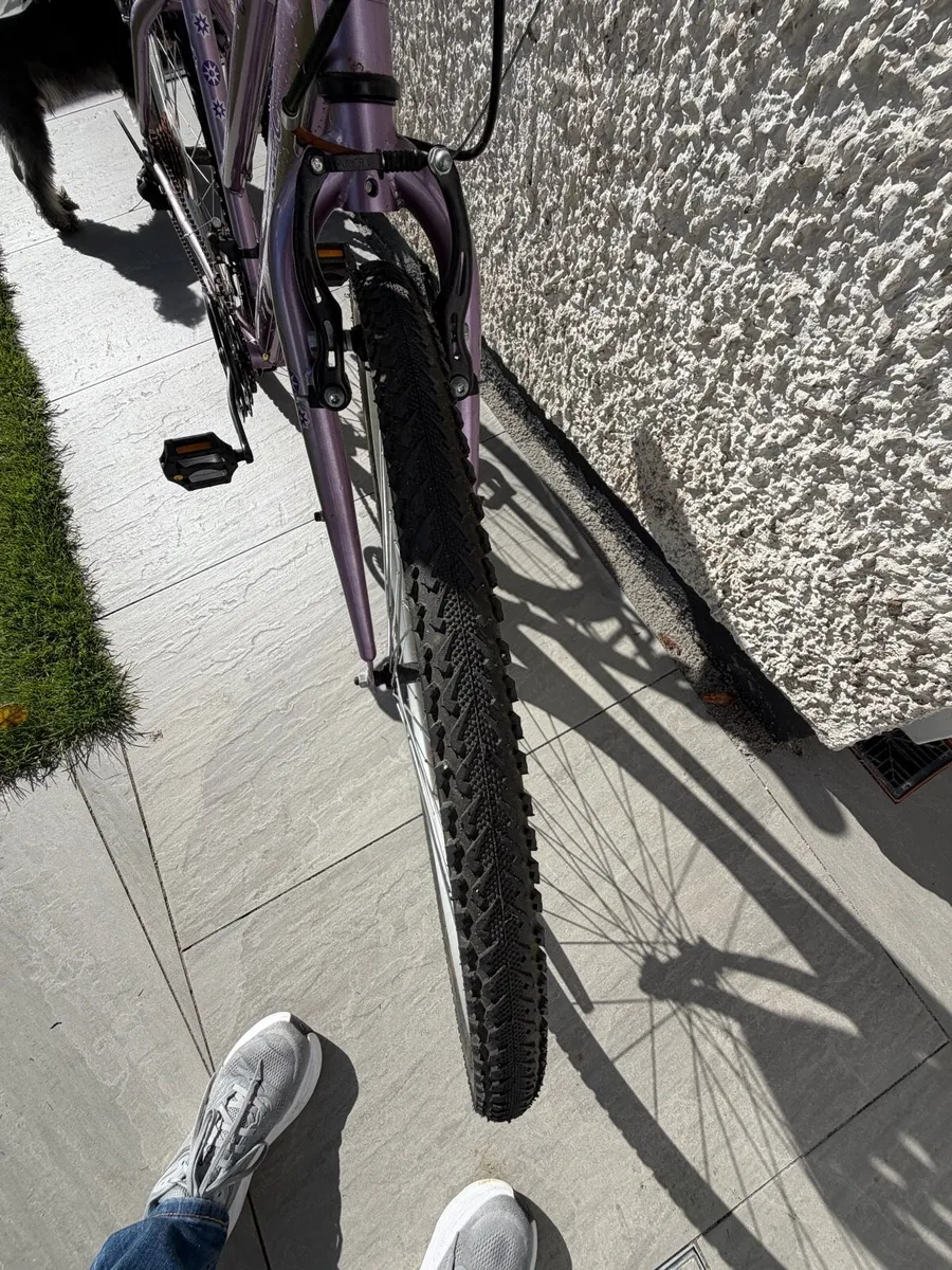 Ladies bicycle - Image 3