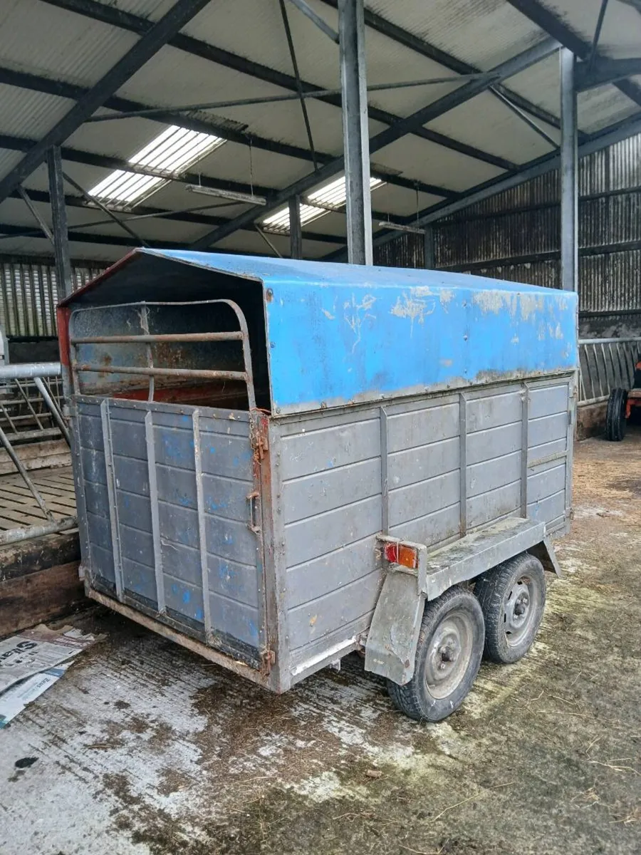 Cattle trailer for sale - Image 1