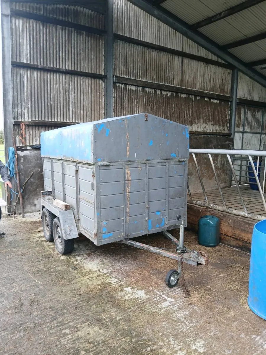 Cattle trailer for sale - Image 2