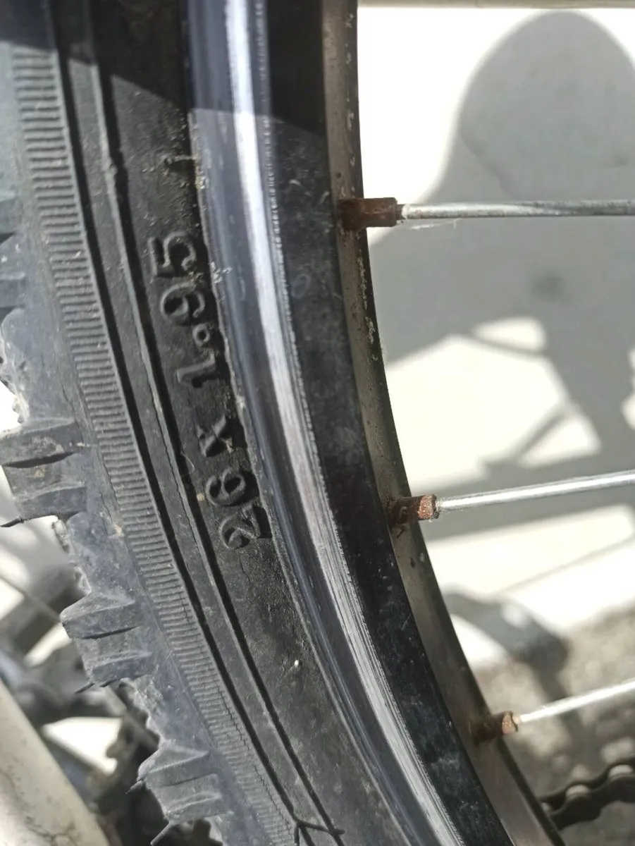 Bike - Image 2