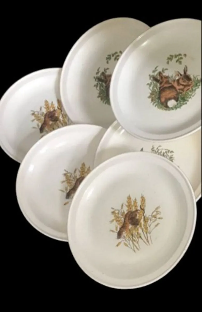 Vintage Carrigdhoun Pottery Wildlife Plates (6) - Image 3