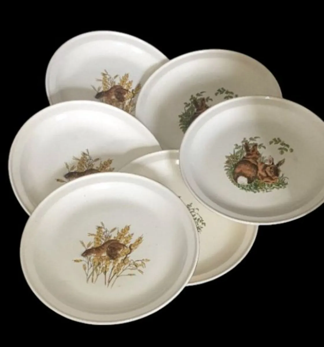 Vintage Carrigdhoun Pottery Wildlife Plates (6) - Image 1