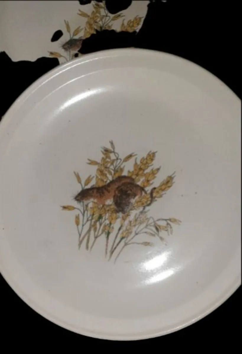 Vintage Carrigdhoun Pottery Wildlife Plates (6) - Image 4