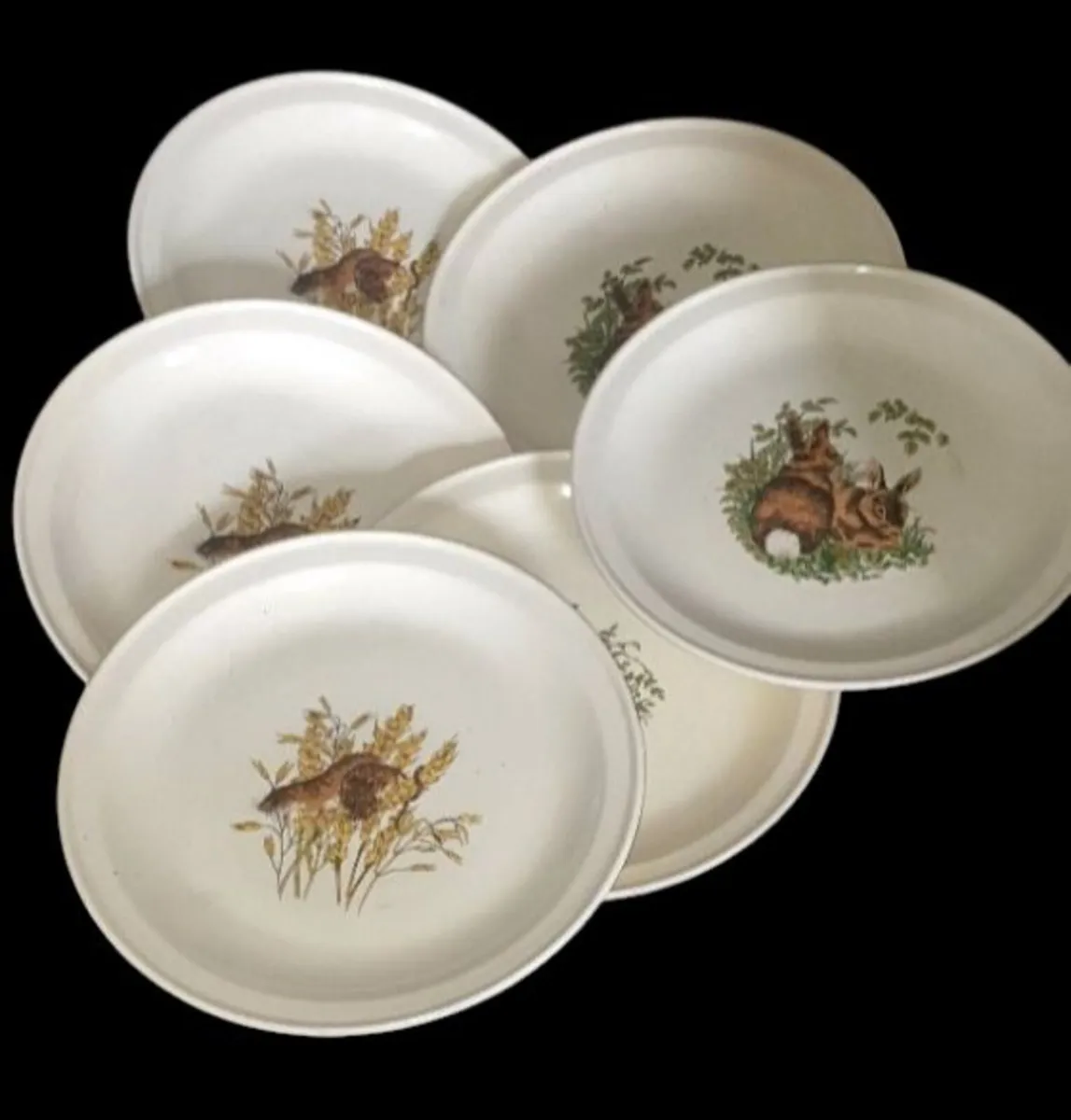 Vintage Carrigdhoun Pottery Wildlife Plates (6) - Image 2