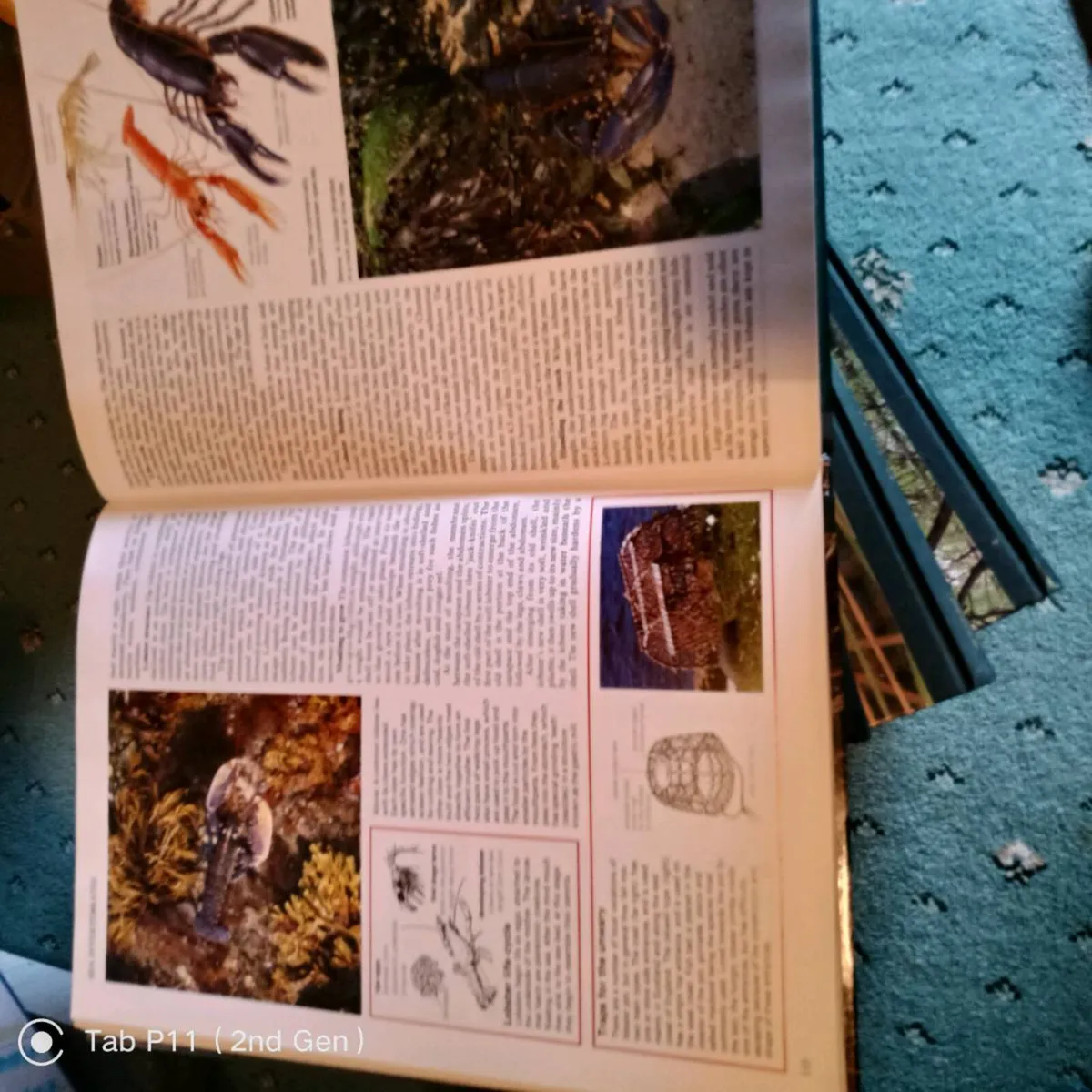 13 Vol.The Living Countryside, Readers Digest,HB. - Image 3