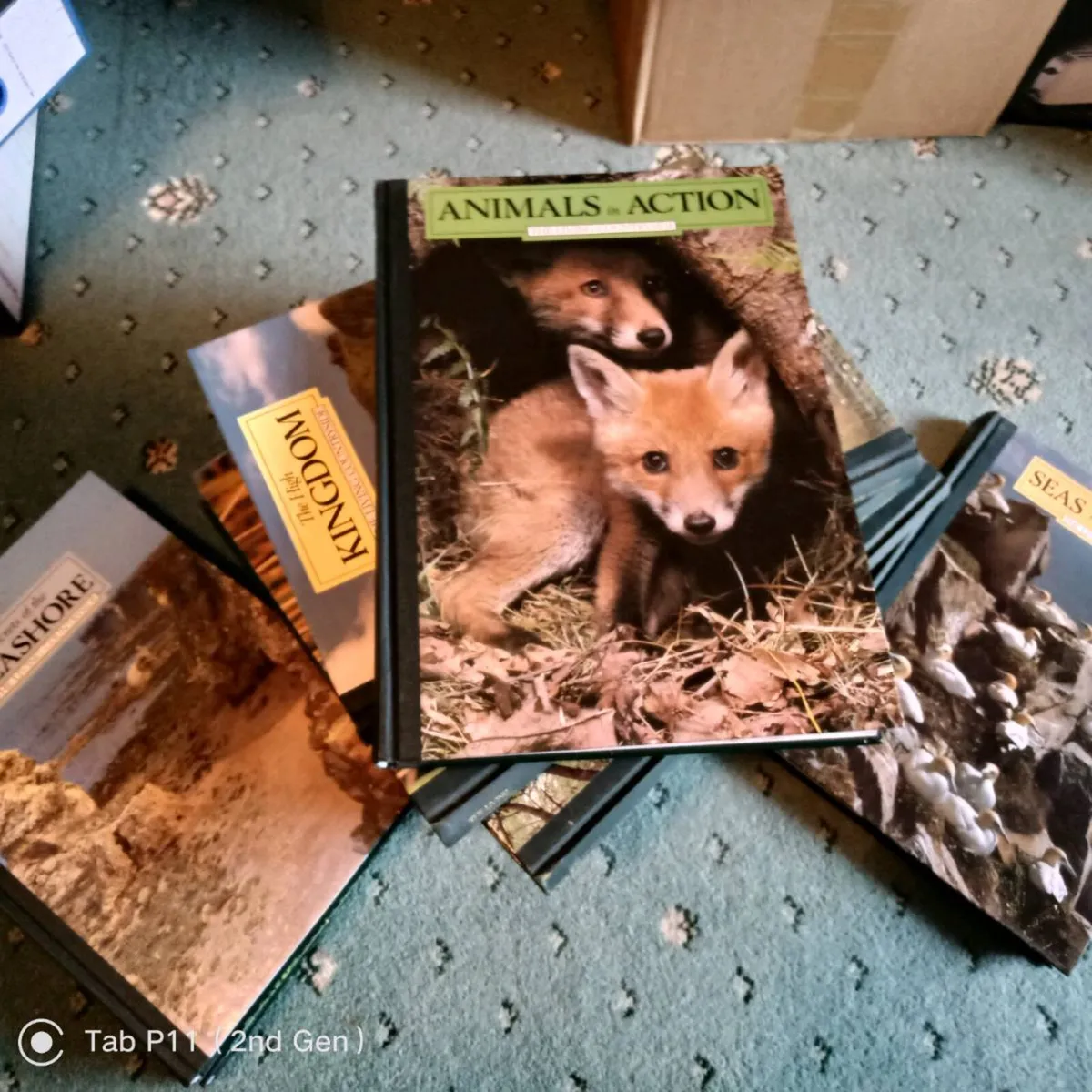 13 Vol.The Living Countryside, Readers Digest,HB. - Image 4