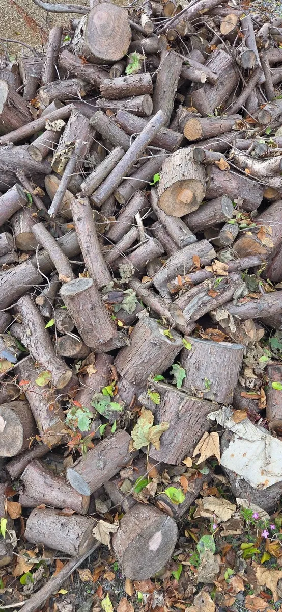 Wood stove and firewood - Image 2