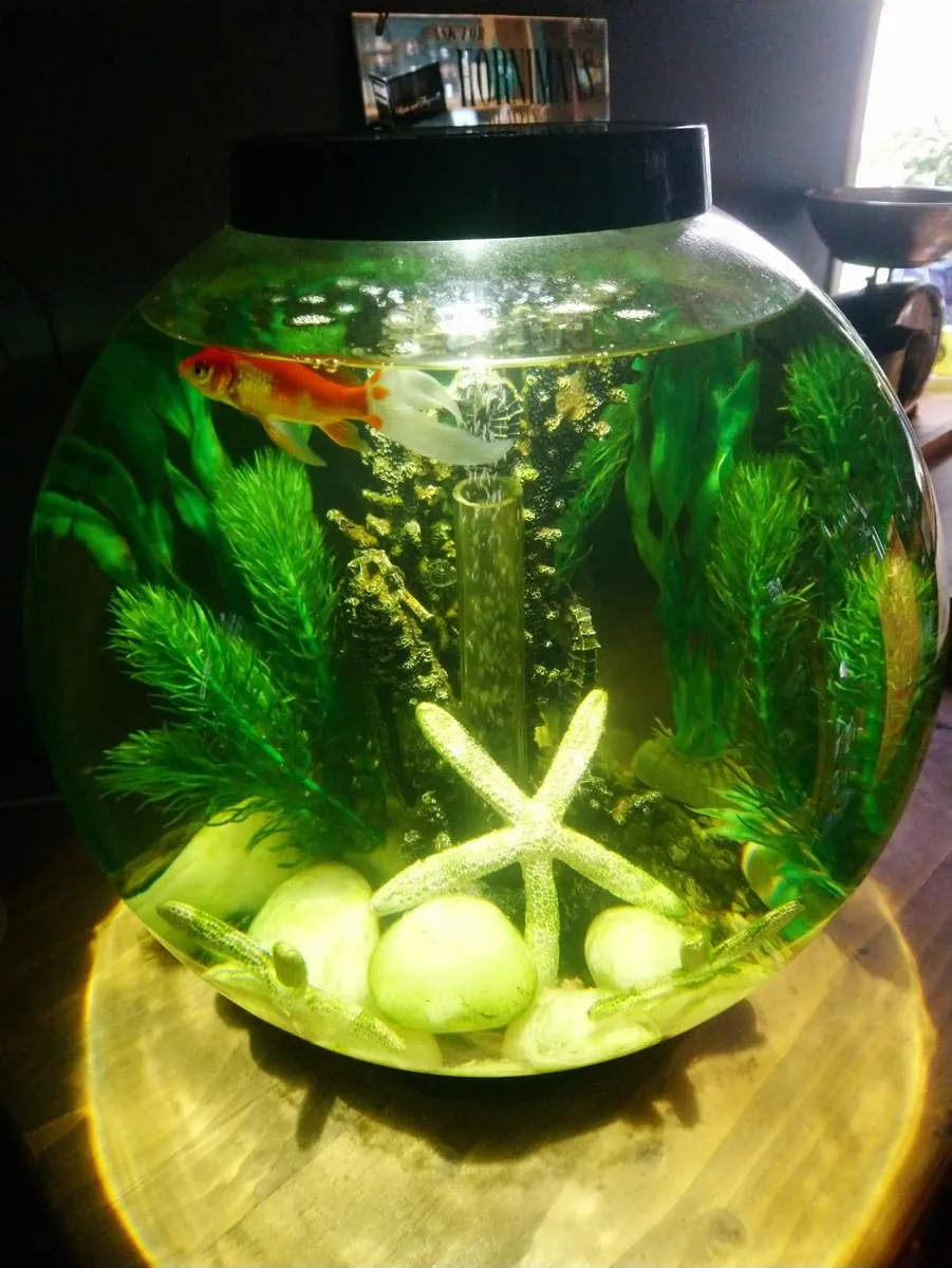 Biorbe classic 30 litre acrylic 8 gallon aquarium - Image 2
