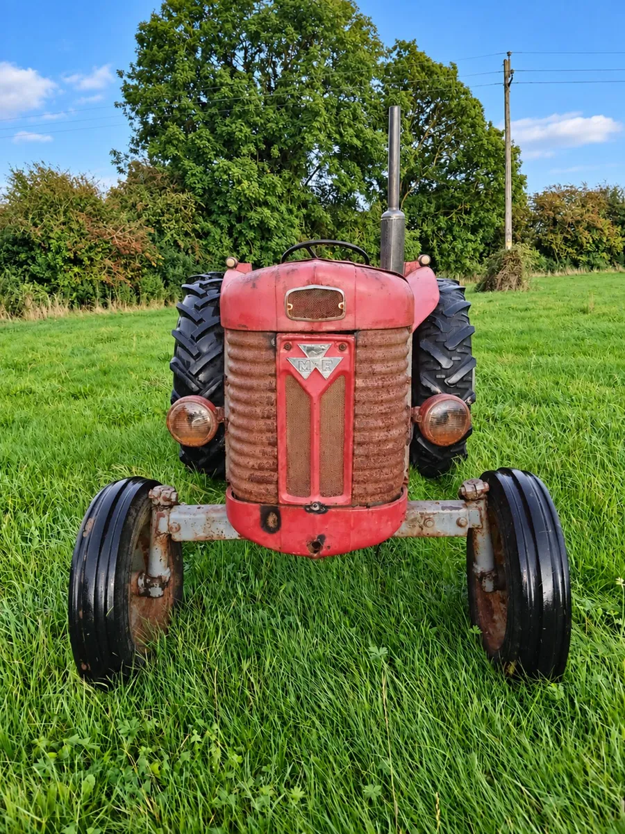 Ferguson 65 mark 2 - Image 2