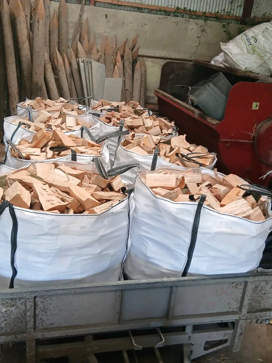 Fire wood - Image 1
