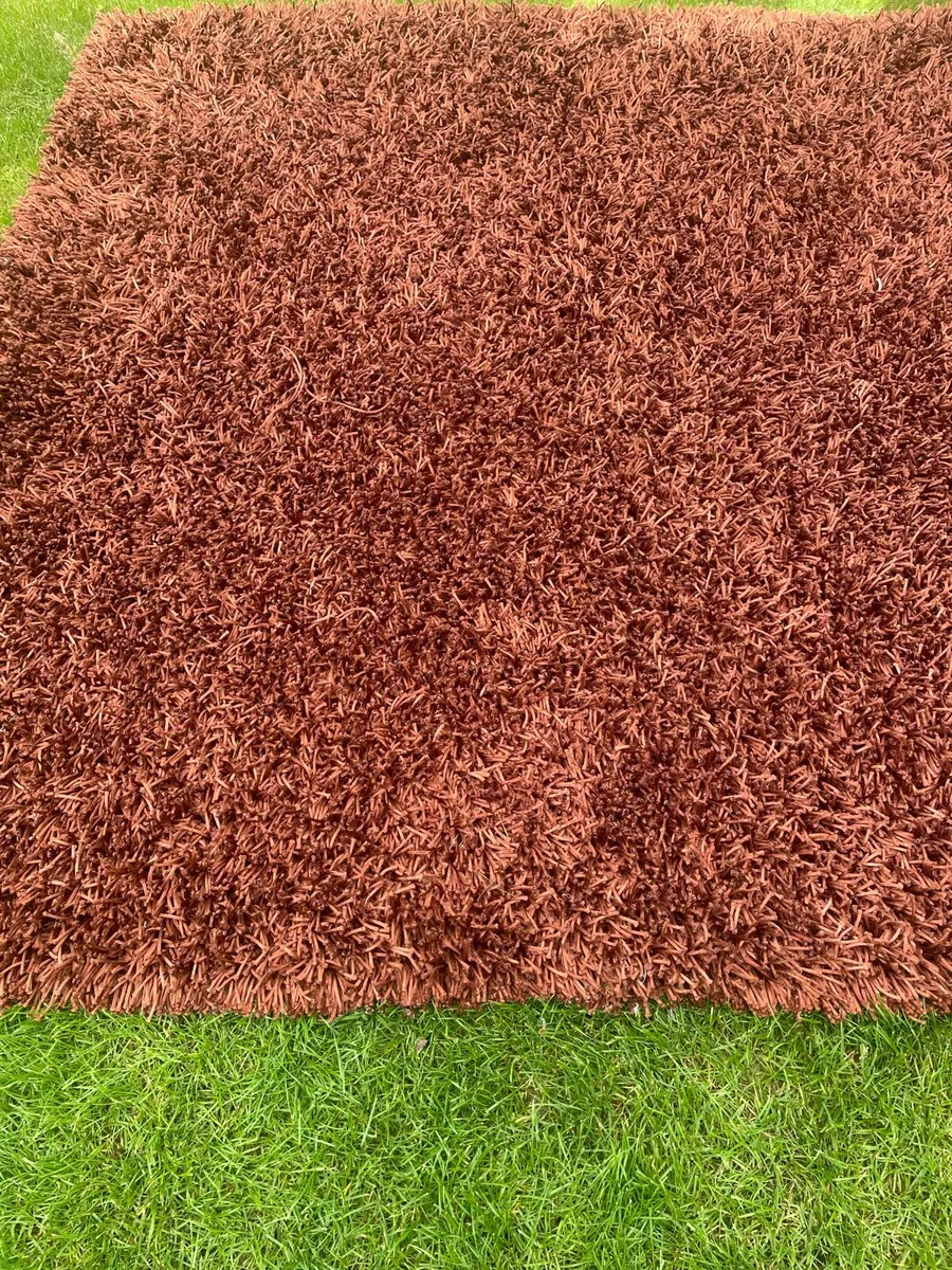 Rug living room - Image 2