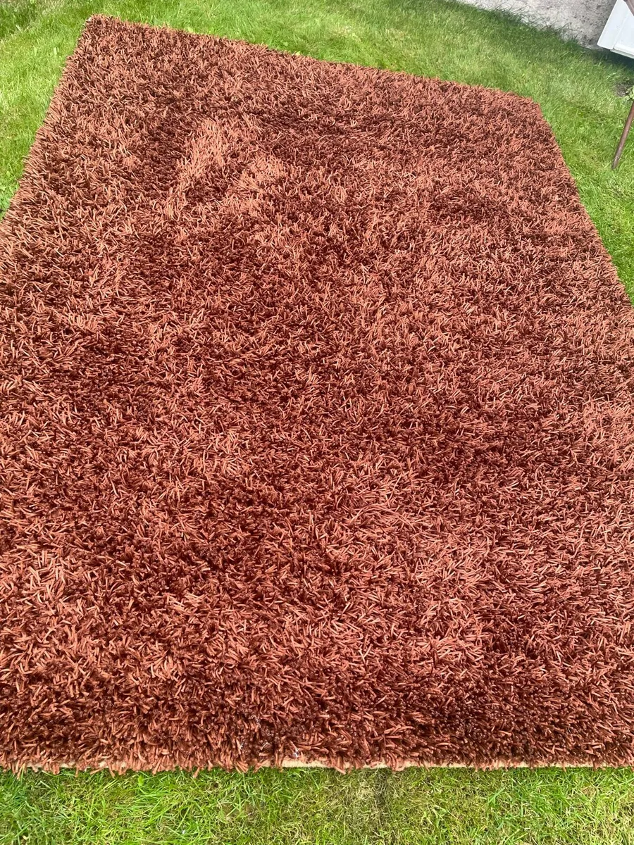 Rug living room - Image 1