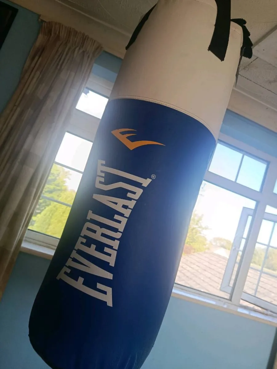 Everlast punch bag new and more - Image 1