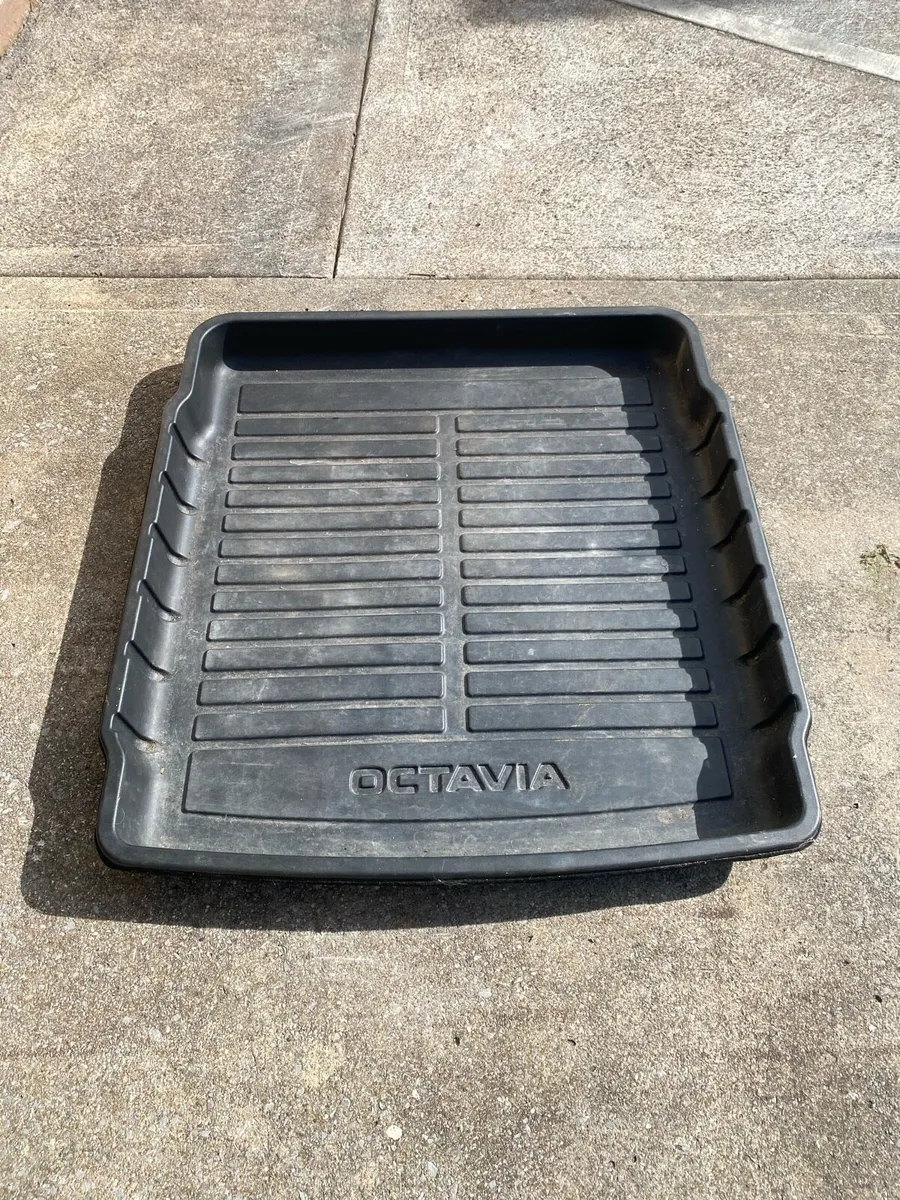 Boot liner