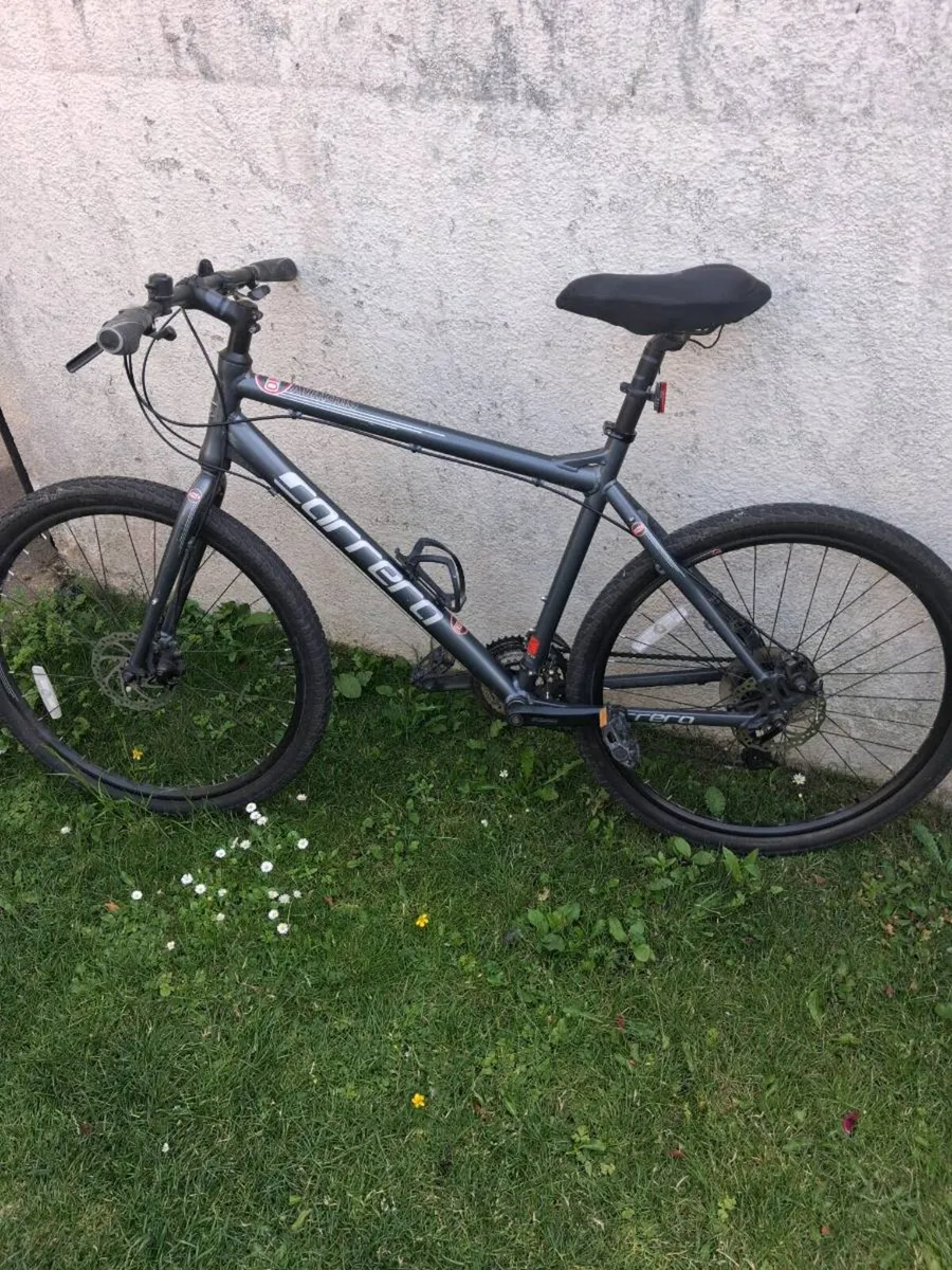 Men's mountain bike