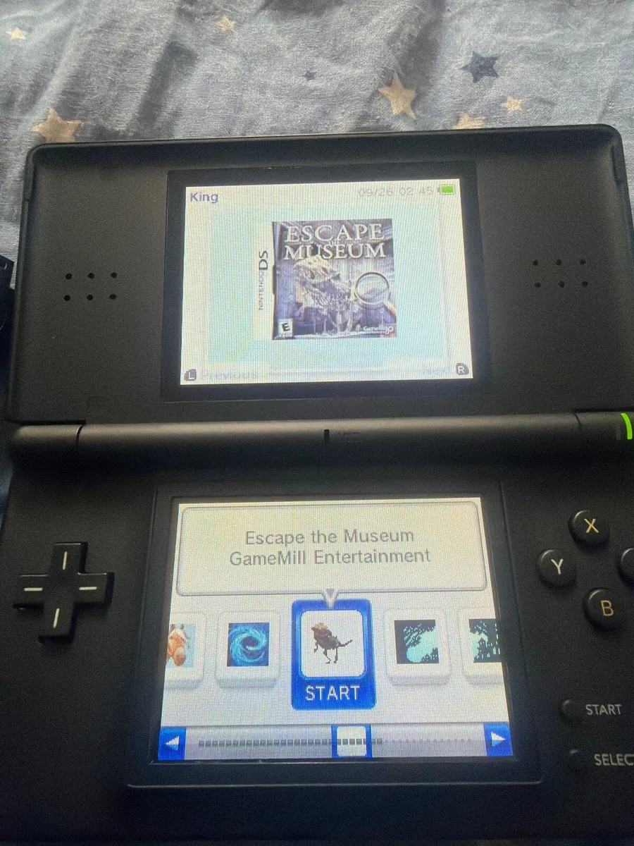 Nintendo DS Lite + Ace3DS X + 128GB MicroSD - Image 4