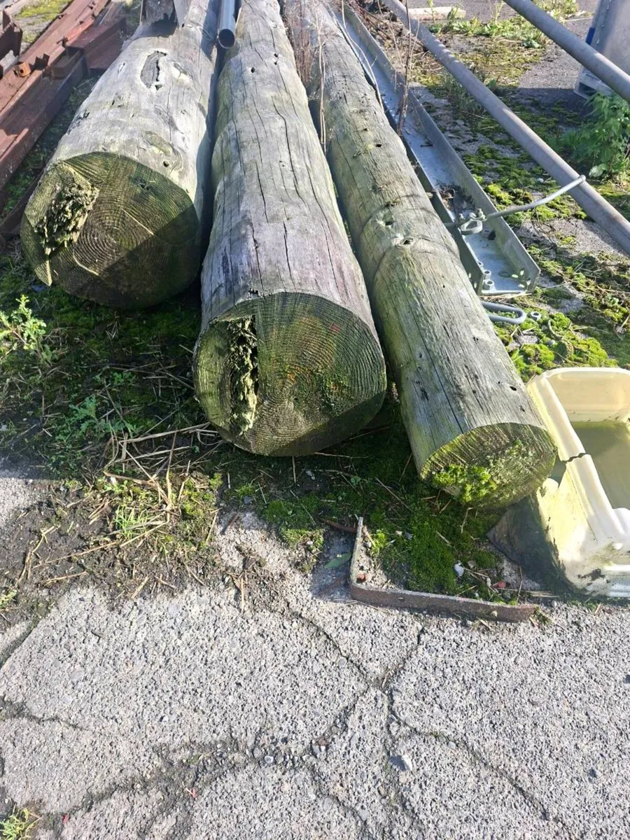 Esb poles - Image 2