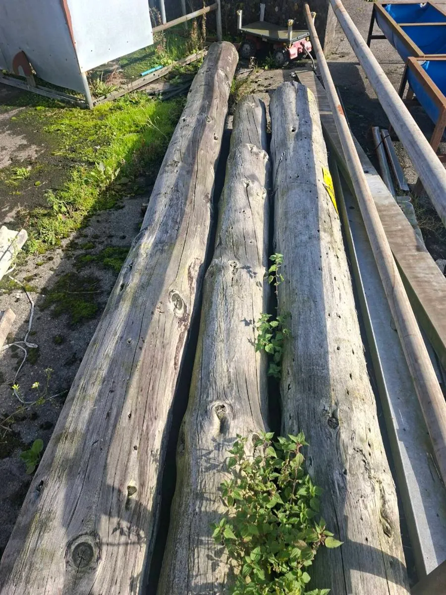 Esb poles - Image 1