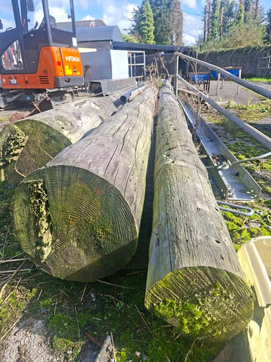 Esb poles - Image 3