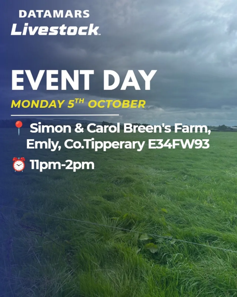 Datamars Livestock event Simon Breen’s farm