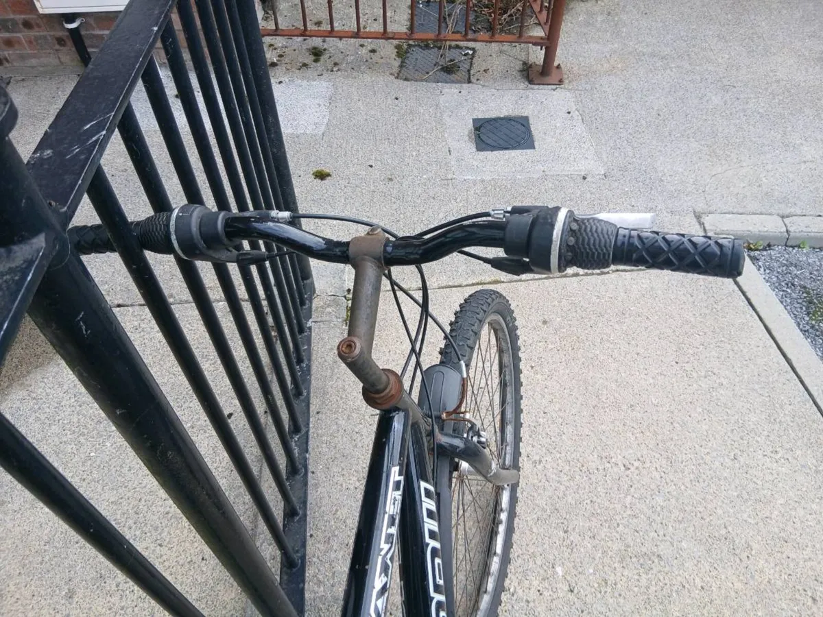 ADULTS BIKE - Image 2