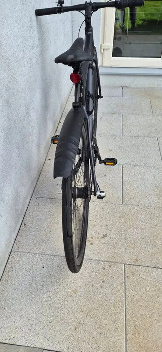 Hybrid - Image 4